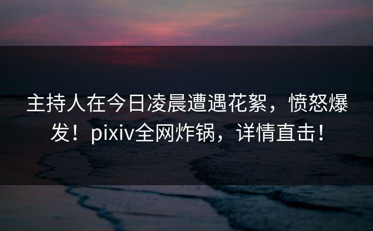 主持人在今日凌晨遭遇花絮，愤怒爆发！pixiv全网炸锅，详情直击！