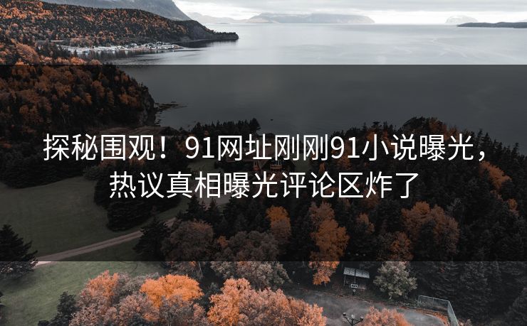 探秘围观！91网址刚刚91小说曝光，热议真相曝光评论区炸了