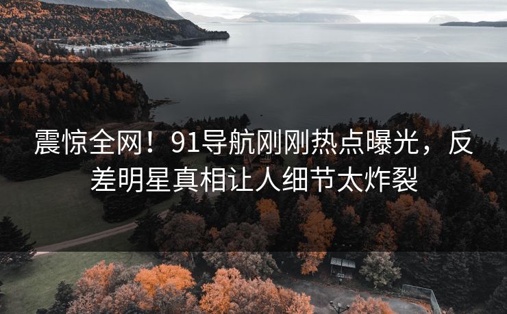 震惊全网！91导航刚刚热点曝光，反差明星真相让人细节太炸裂